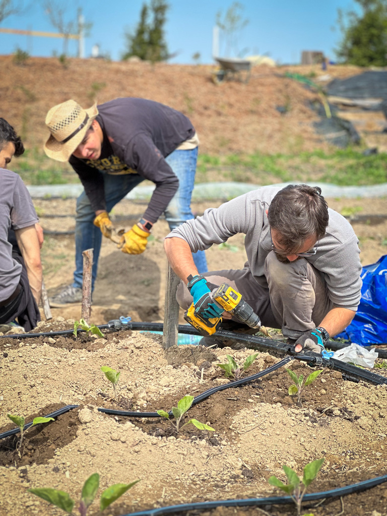 Install a Drip Irrigation & Watering System