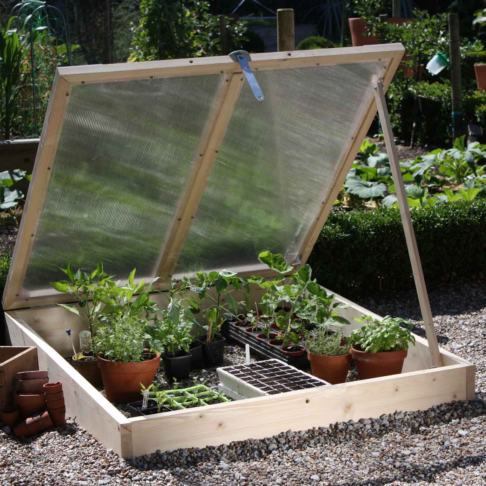 Build and Plant a Cold Frame or Low Tunnel
