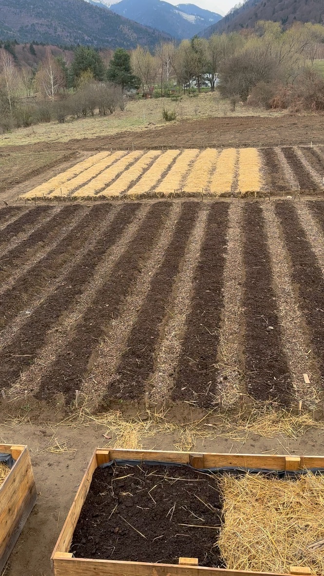 Mulched Paths & Moisture-Control