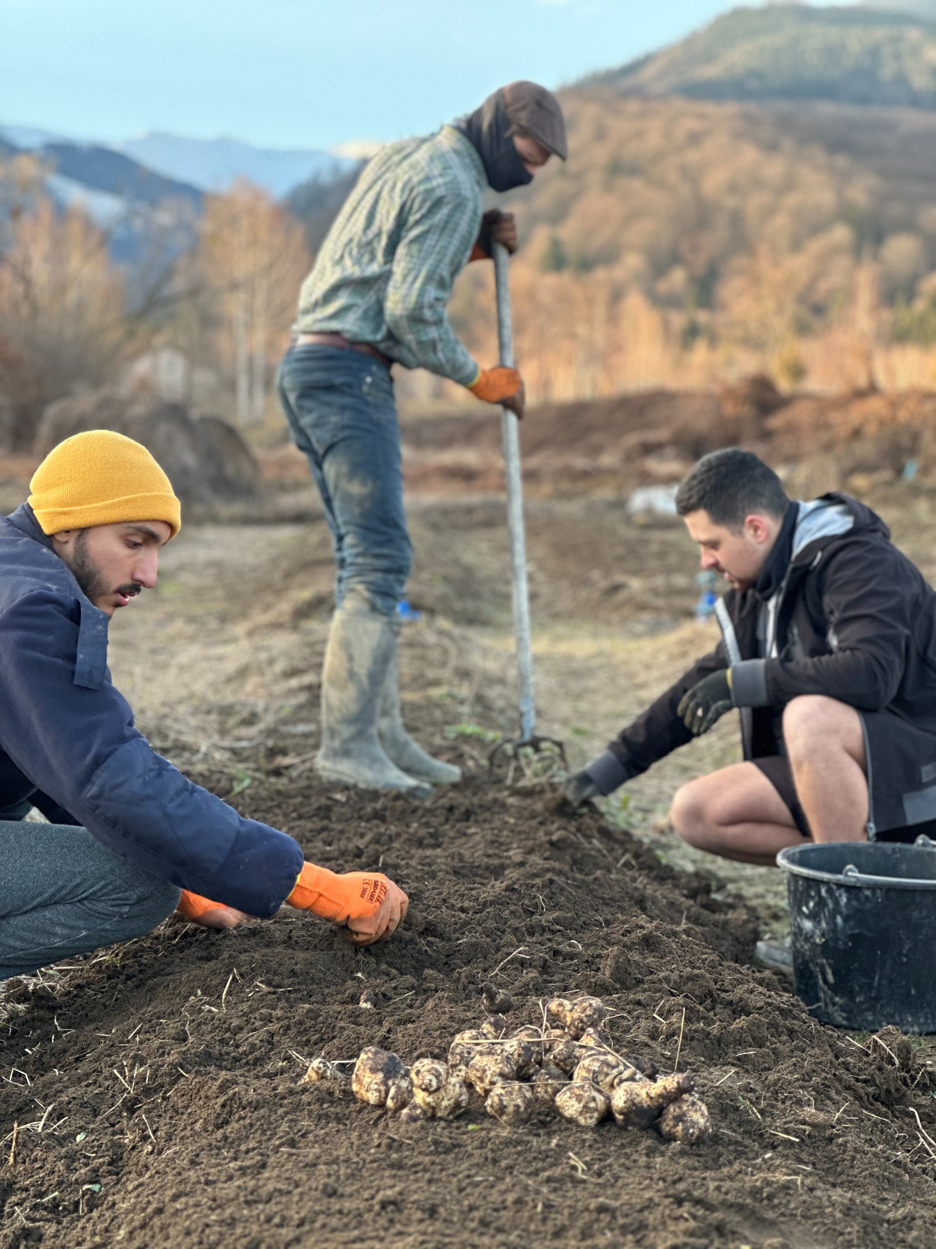 Direct Sowing & Succession Planting Workshop