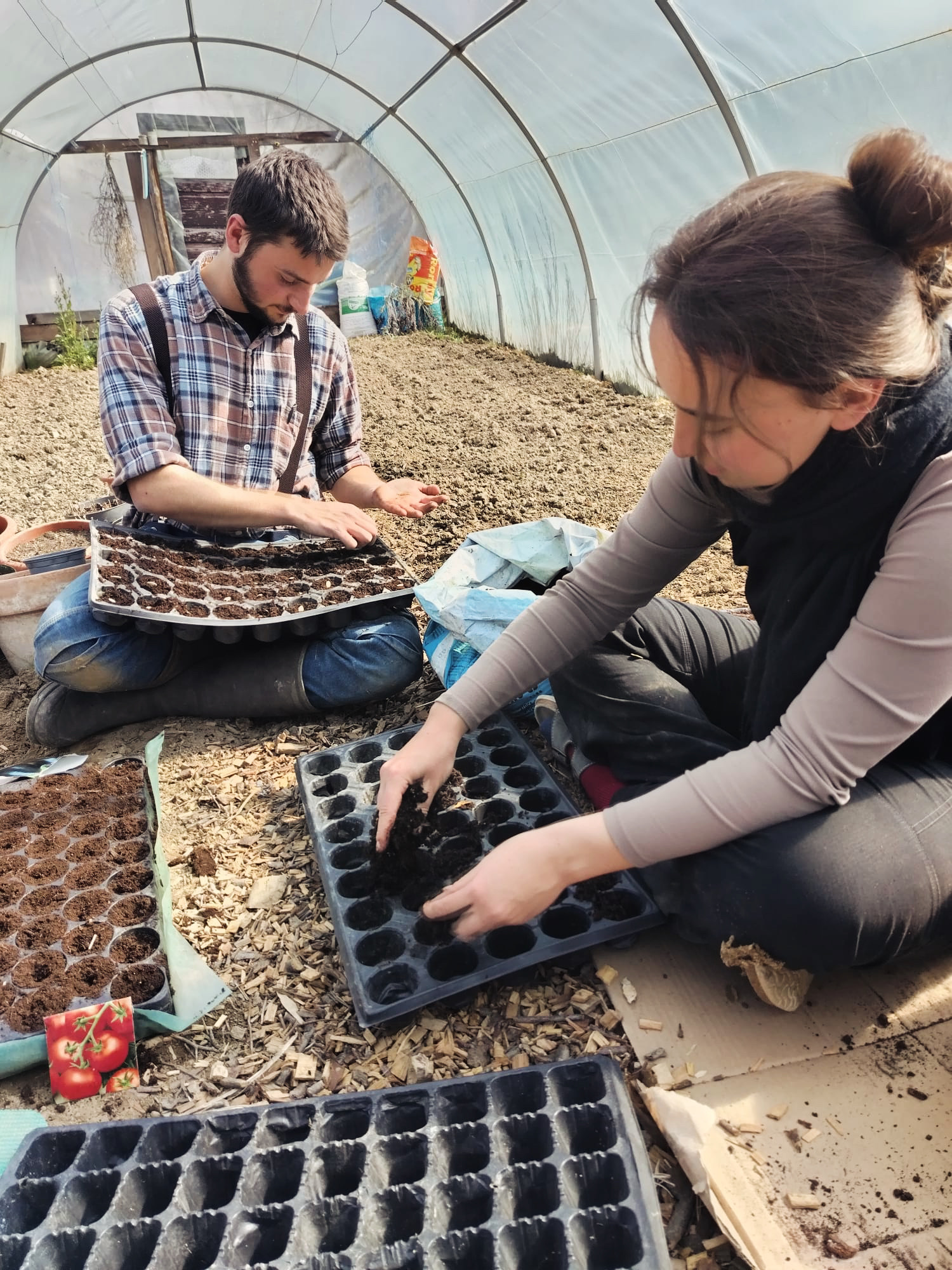Seed Starting & Soil Block Workshop