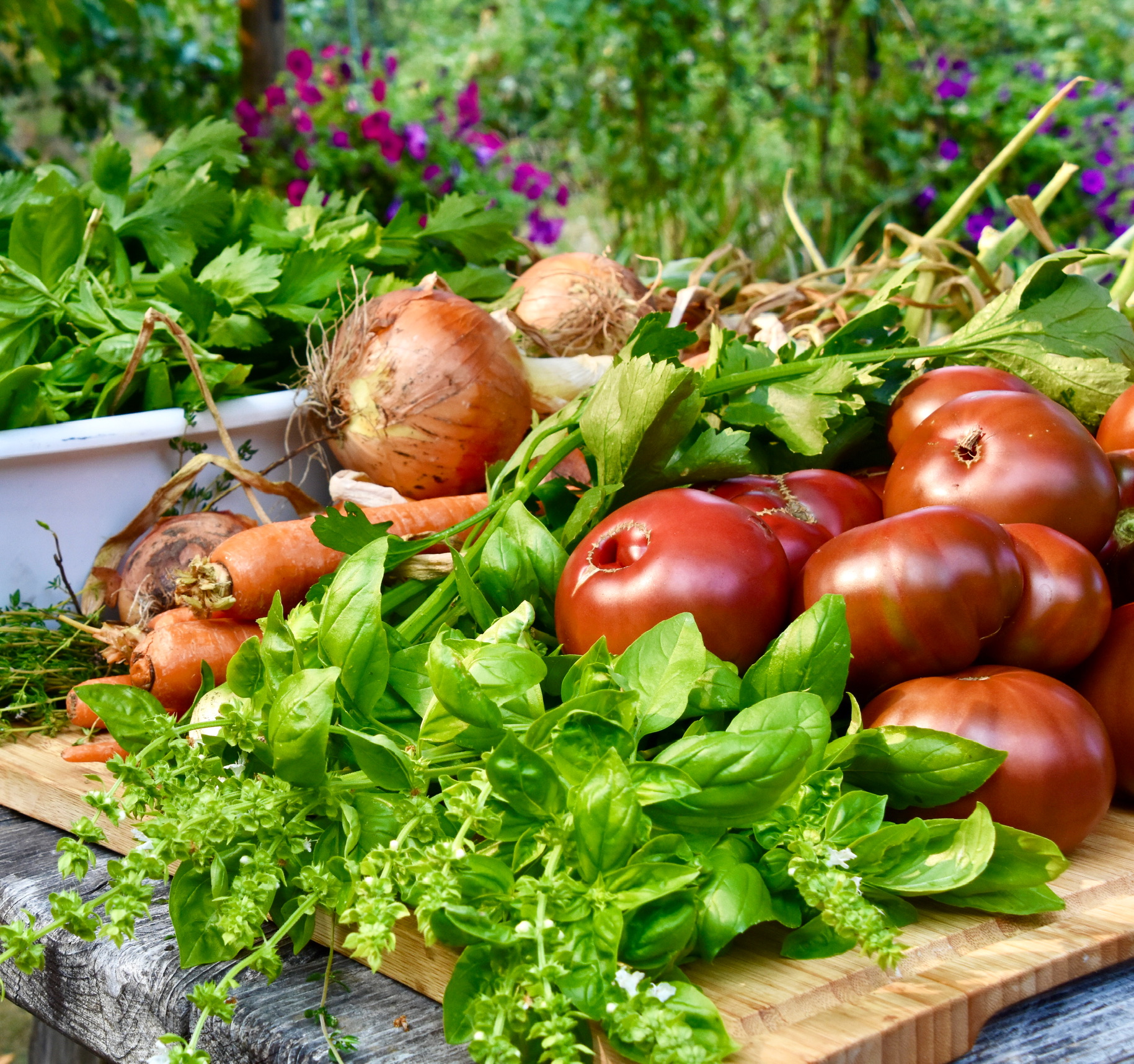 Seasonal Harvest & Garden-to-Table Experience