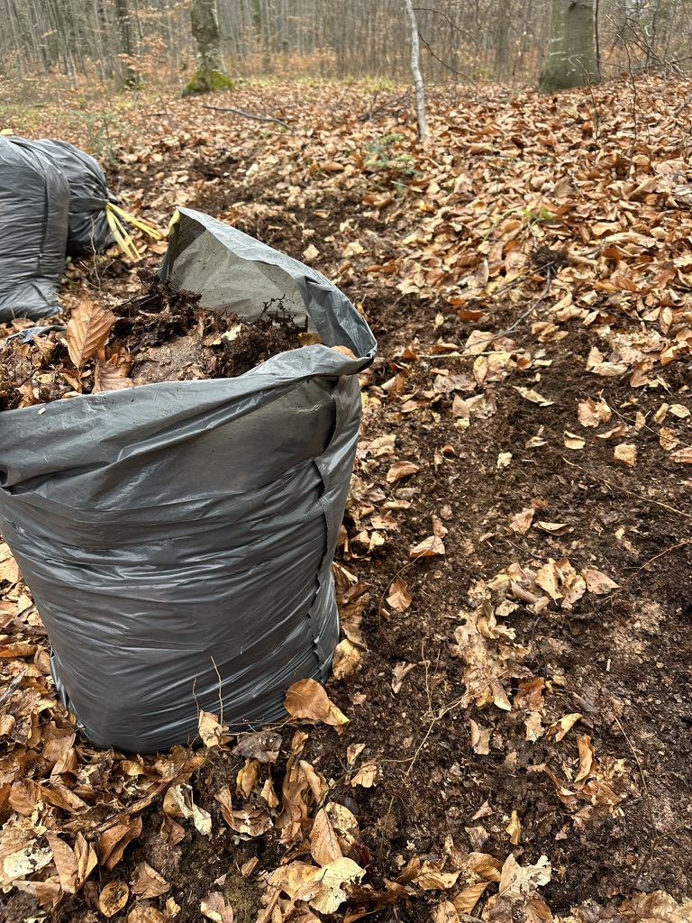 Fall Garden Reset, Leaf Mold & Winter Protection