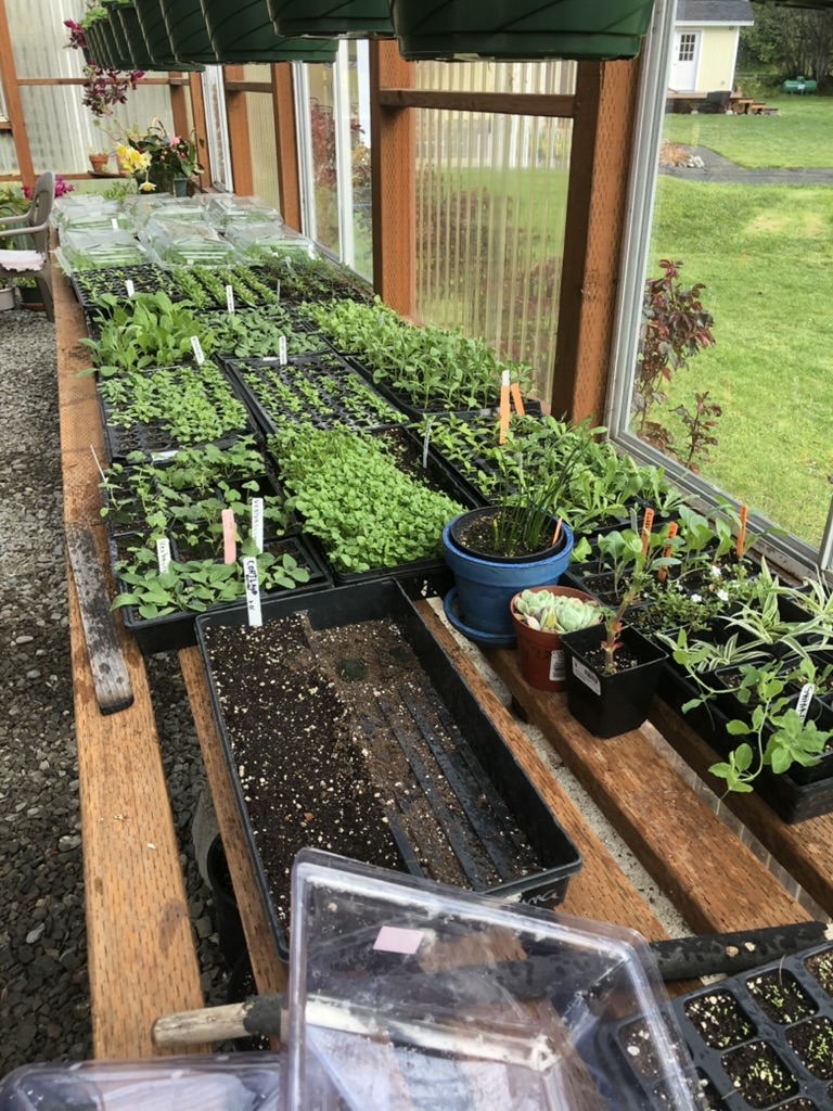 Build a Potting Bench or Garden Worktable