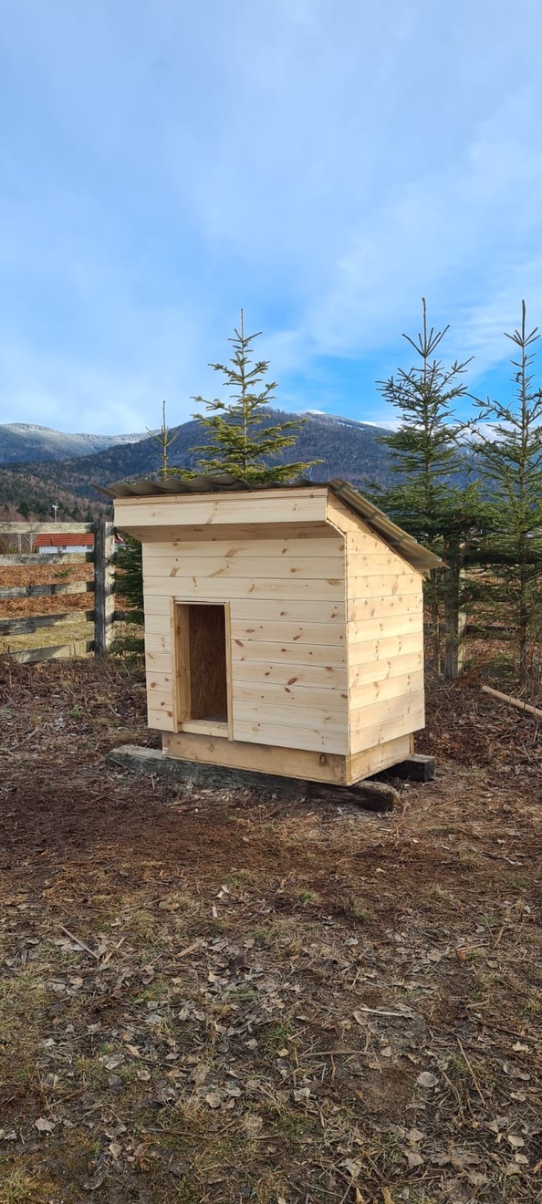 Build a Doghouse