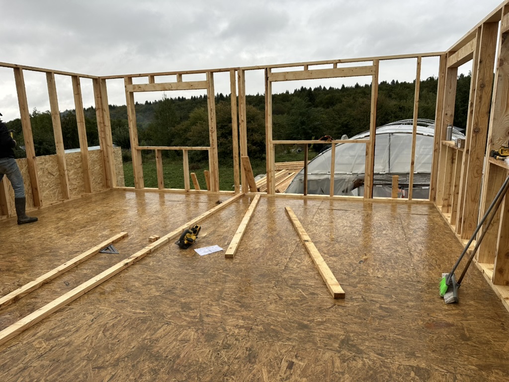 Frame and Sheathe Walls