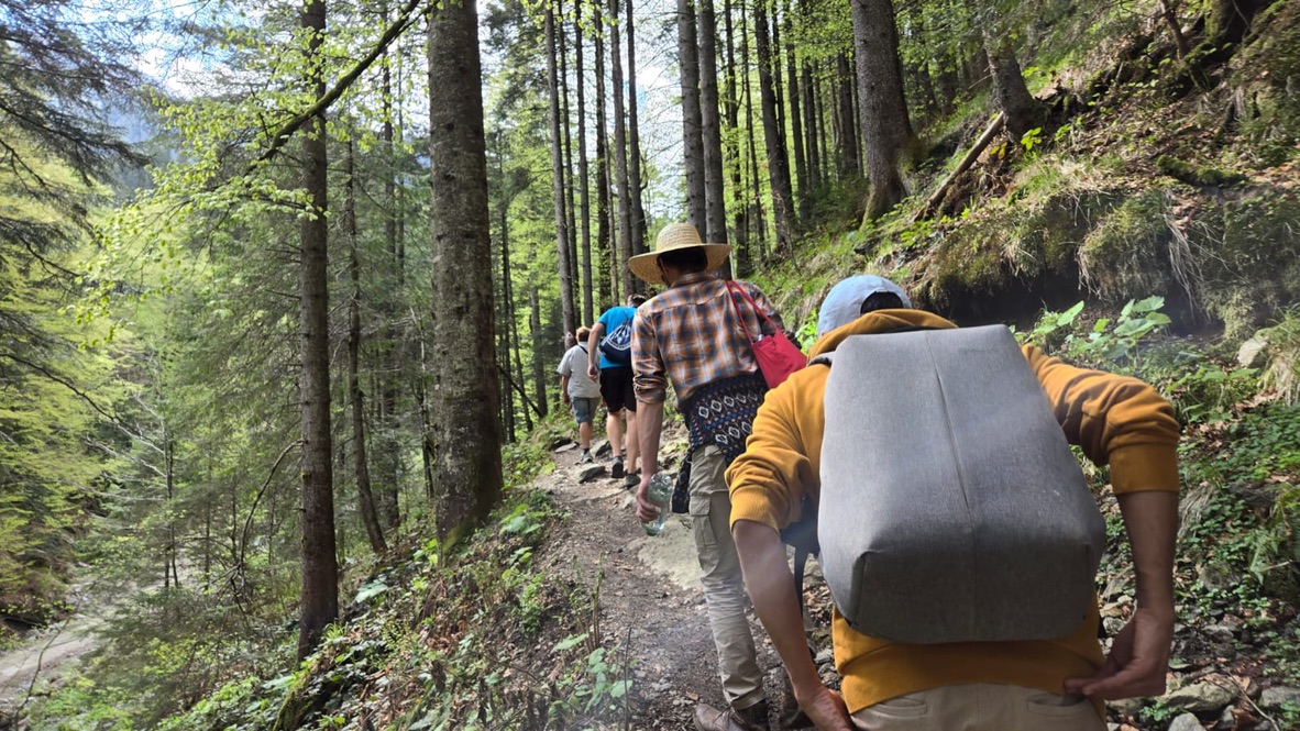 Valea Sâmbetei Valley Hike & River Picnic