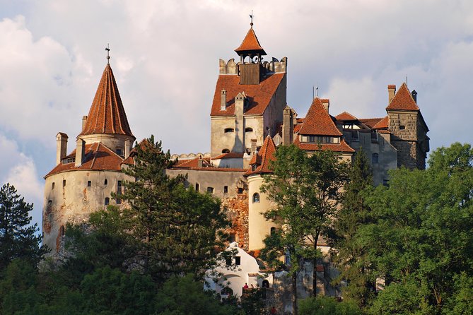Bran Castle & Market Experience