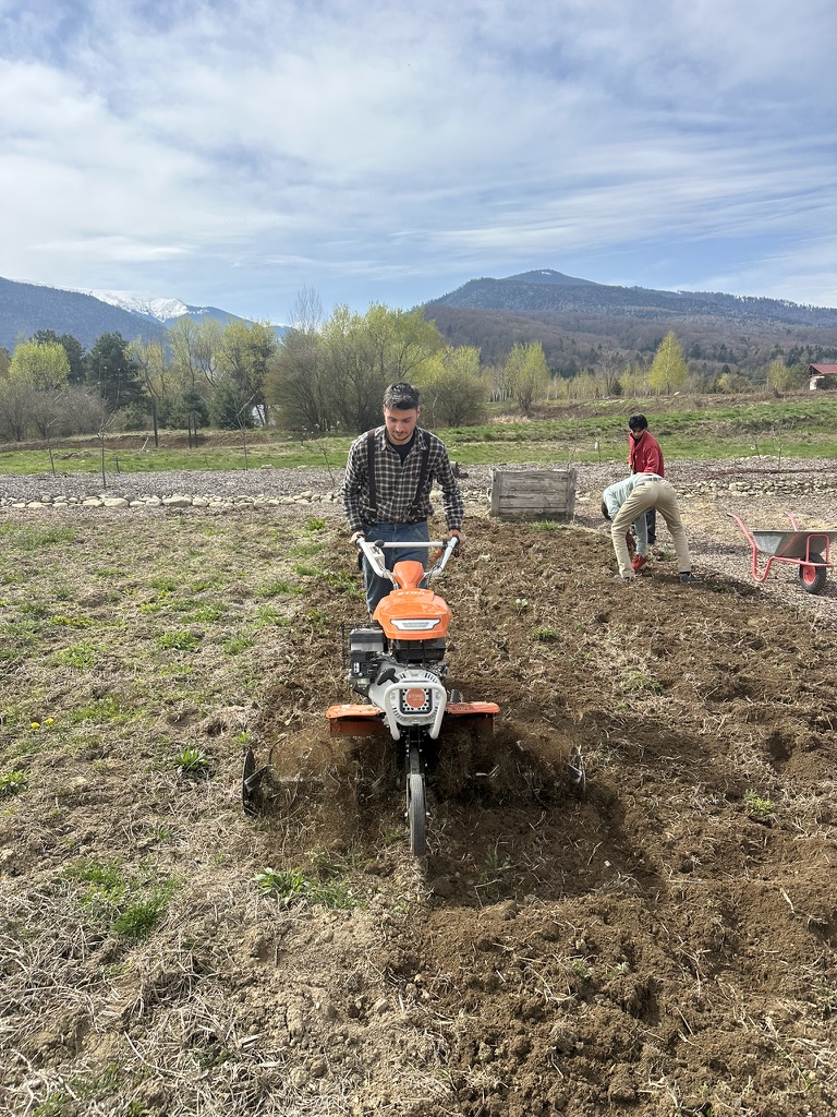 Create a Traditional Tilled Garden Bed