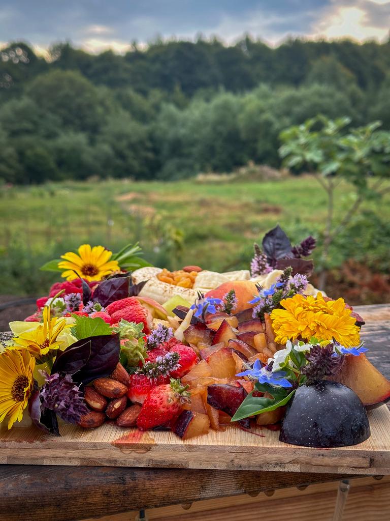 The Hidden Forest Table