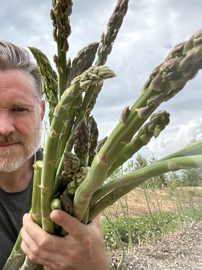 Garden-to-Table Harvest & Cooking