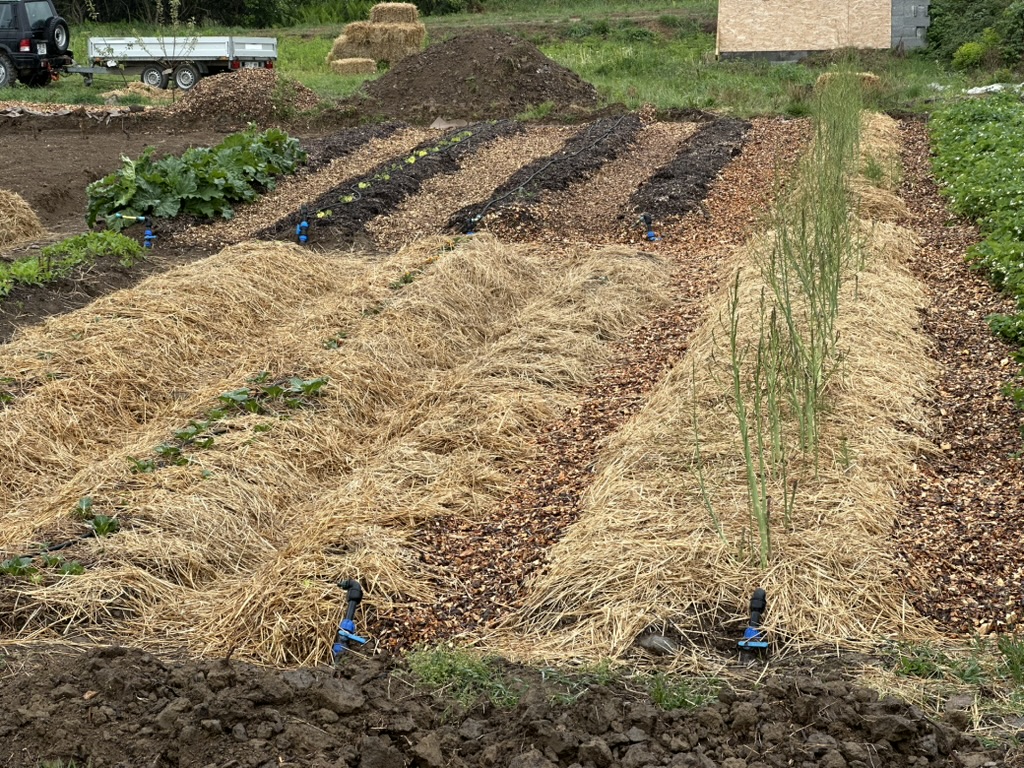 Build a No-Dig Lasagna Bed