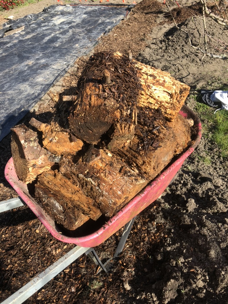 Build a Hügelkultur Bed