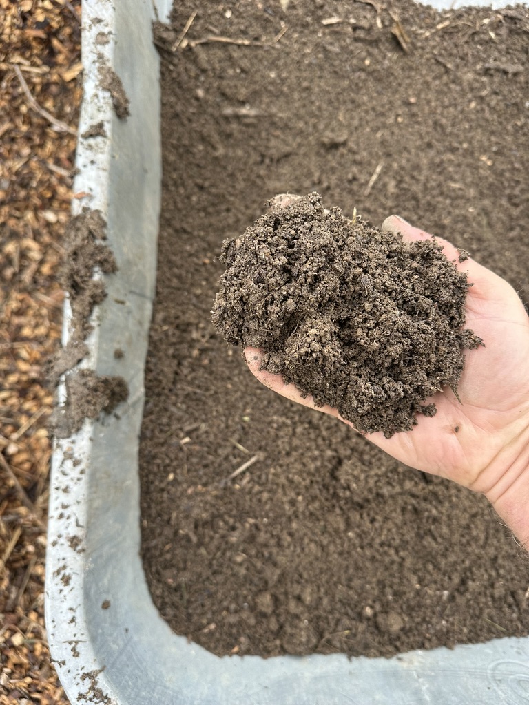 Compost & Soil Life Workshop