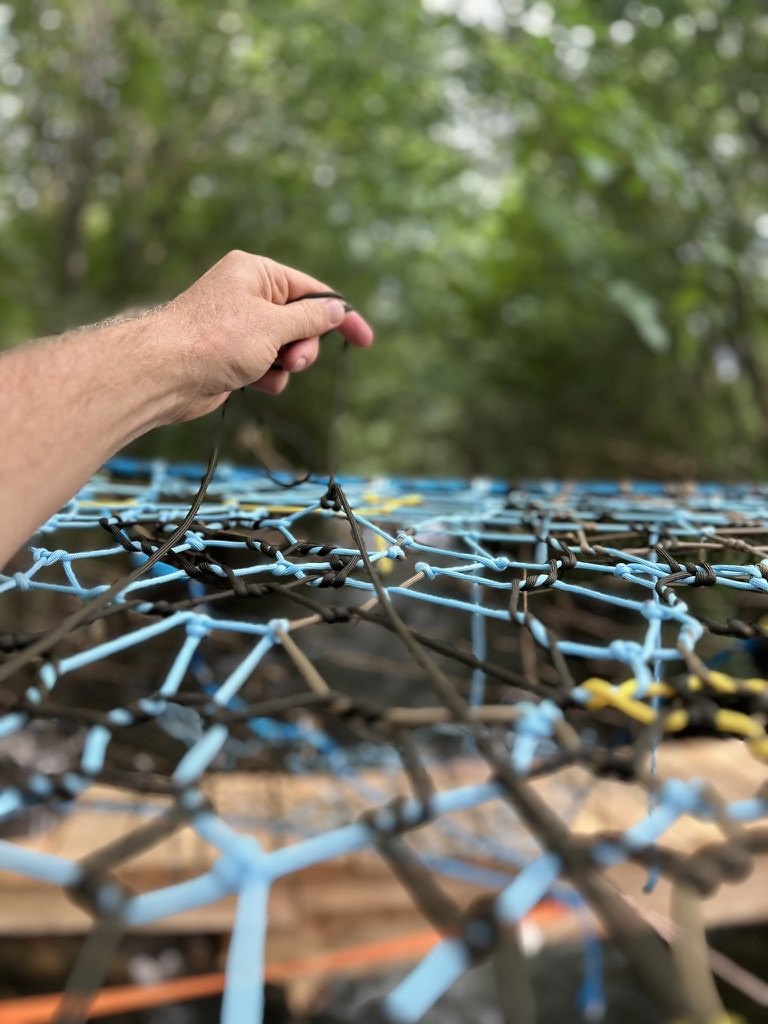 Forest Tree-Net Weaving Experience