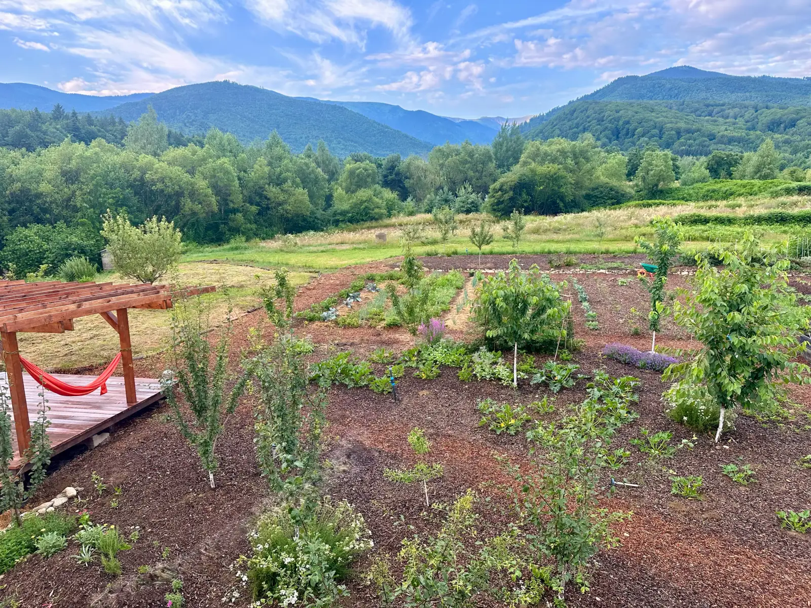 The Berivoi garden beneath forested mountains.