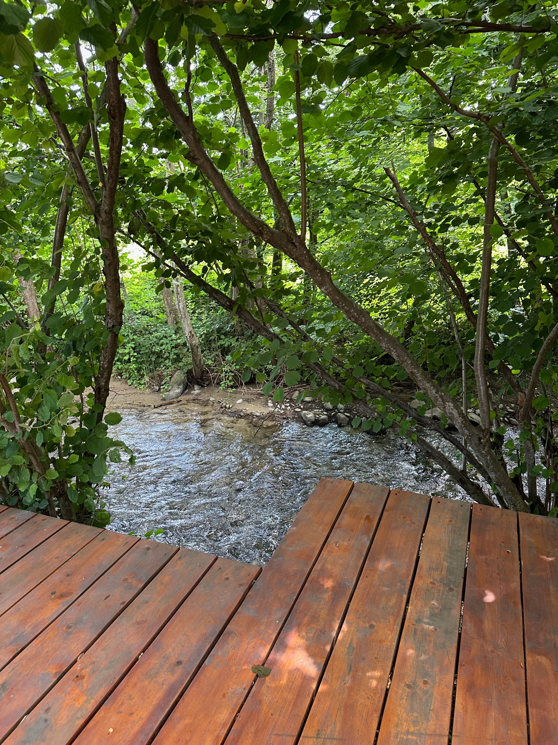 Cabin 2 - Image 4